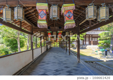 黄檗宗大本山「萬福寺」回廊の灯籠 黄檗宗大本山「萬福寺」回廊の灯籠 108661420