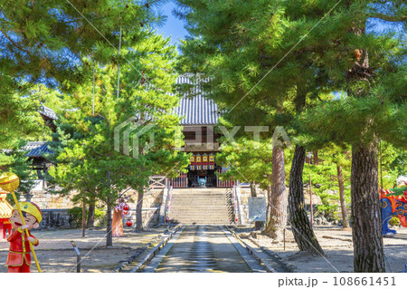 黄檗宗大本山「萬福寺」大雄寶殿　--黄檗ランタンフェスティバル-- 108661451