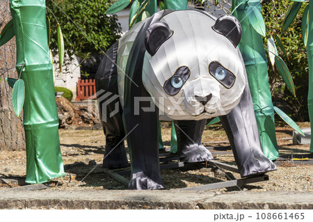黄檗宗大本山「萬福寺」パンダのランタン 黄檗宗大本山「萬福寺」パンダのランタン 108661465