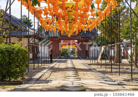 黄檗宗大本山「萬福寺」総門　--黄檗ランタンフェスティバル-- 108661466