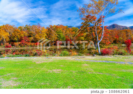 【紅葉素材】秋の志賀高原・蓮池の紅葉【長野県】 【紅葉素材】秋の志賀高原・蓮池の紅葉【長野県】 108662061