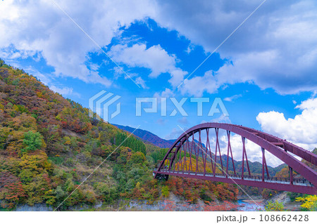 【秋素材】奥裾花渓谷の紅葉【長野県】 108662428