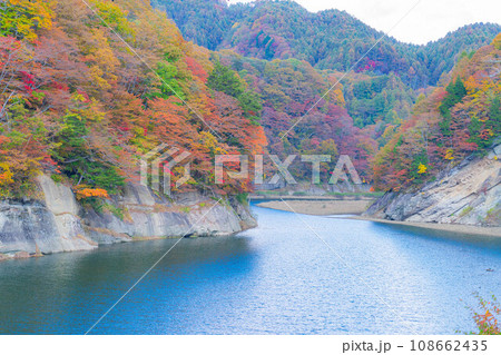 【秋素材】奥裾花渓谷の紅葉【長野県】 【秋素材】奥裾花渓谷の紅葉【長野県】 108662435