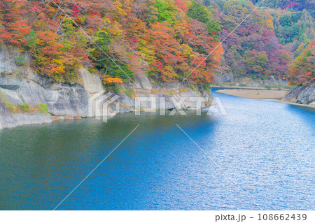 【秋素材】奥裾花渓谷の紅葉【長野県】 【秋素材】奥裾花渓谷の紅葉【長野県】 108662439
