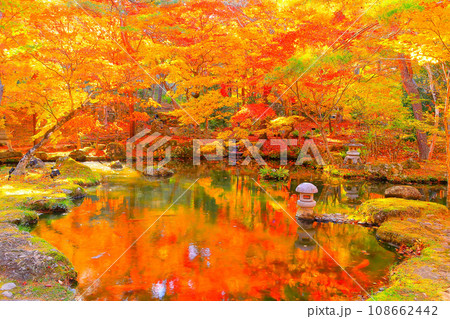 鮮やかな紅葉の天守閣自然公園 108662442