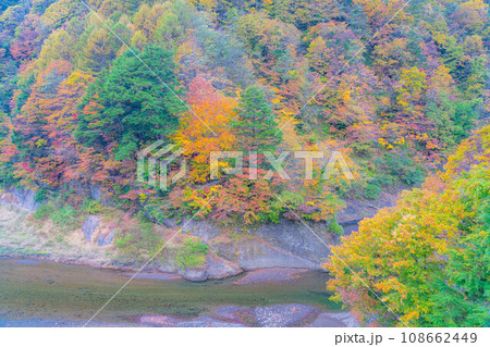 【秋素材】奥裾花渓谷の紅葉【長野県】 【秋素材】奥裾花渓谷の紅葉【長野県】 108662449