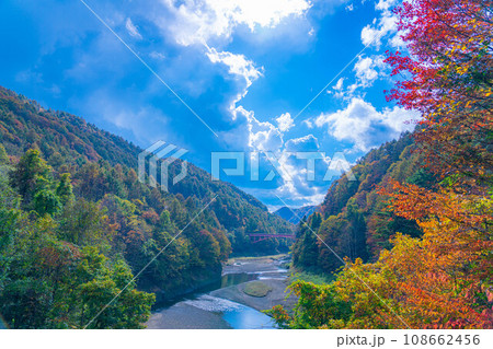 【秋素材】奥裾花渓谷の紅葉【長野県】 108662456