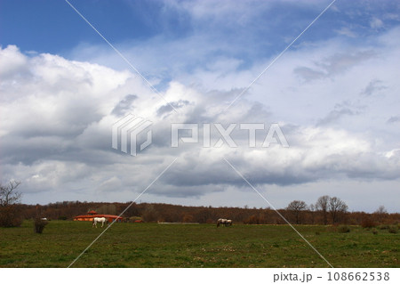 果てしない道　カミーノ（サンティアゴ巡礼） 108662538