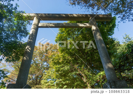 群馬県/新田金山城跡・新田神社の鳥居【国指定史跡・日本百名城】 群馬県/新田金山城跡・新田神社の鳥居【国指定史跡・日本百名城】 108663318