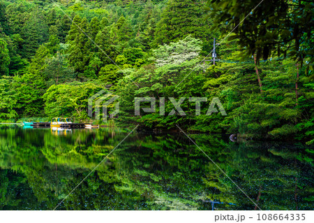 新緑の白雲の池 朝景色 【長崎県雲仙市】 新緑の白雲の池 朝景色 【長崎県雲仙市】 108664335