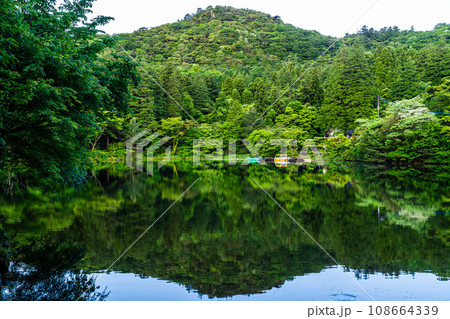 新緑の白雲の池　朝景色　【長崎県雲仙市】 108664339