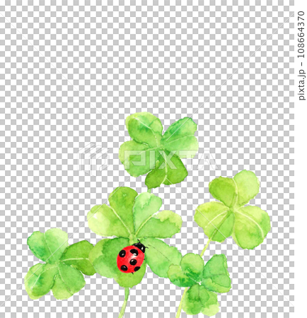 Postcard material of clover and ladybug painted in watercolor [hand-painted] White background Transparent background Copy space included 108664370