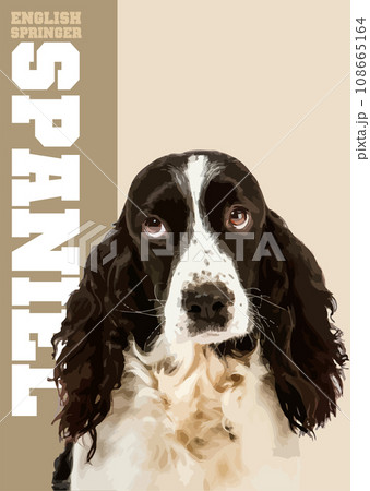 English Springer Spaniel poster. 3d color vector illustrtation English Springer Spaniel poster. 3d color vector illustrtation 108665164