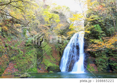 秋田県藤里町の紅葉の峨瓏大滝 秋田県藤里町の紅葉の峨瓏大滝 108665221