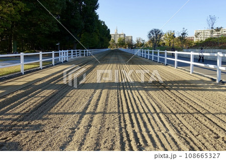 馬の走路 馬事公苑 馬の走路 馬事公苑 108665327