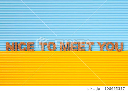 ローマ字でNICE TO MEET YOU 108665357