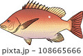 フエダイ フエダイ 108665666