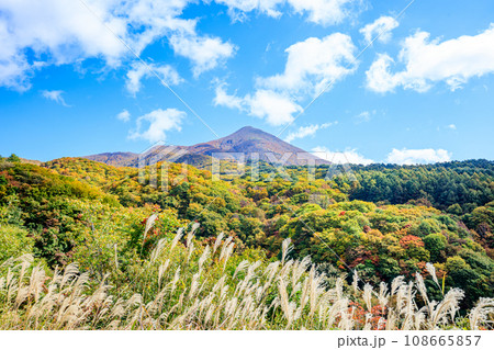 滑滝展望台から見た秋の磐梯山　福島県磐梯町 108665857