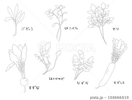 春の七草 手書きの線画 イラストセット  春の七草 手書きの線画 イラストセット  108666819