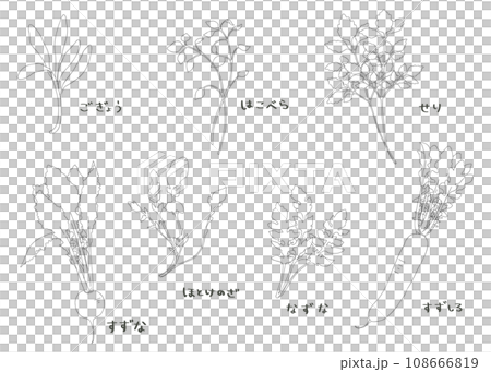 春の七草 手書きの線画 イラストセット  春の七草 手書きの線画 イラストセット  108666819