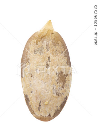 Hulled pumpkin seed close up. Healthy food ingredient. Hulled pumpkin seed close up. Healthy food ingredient. 108667585