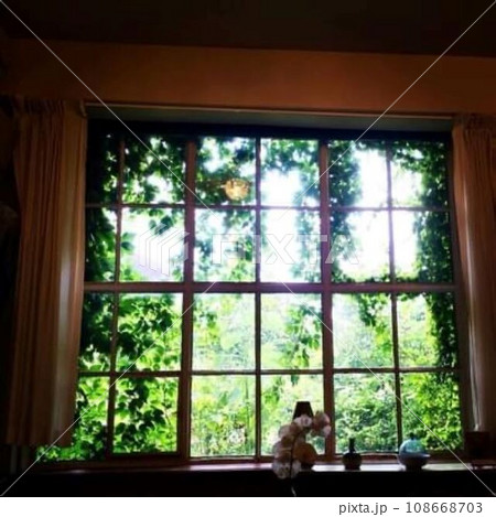 モネの家の窓から見える景色 108668703