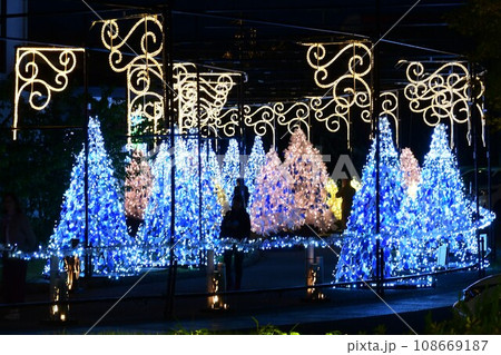 富士山に近い大規模な時之栖のイルミネーション 108669187