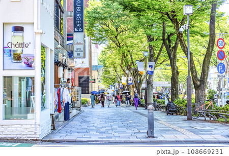 東京渋谷の都市風景　表参道 108669231
