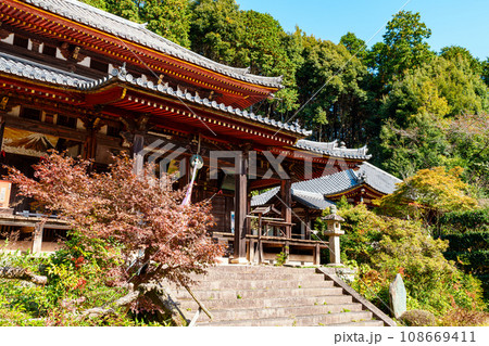 【奈良県】奈良市 弘仁寺 (2023/11/07 撮影) 108669411