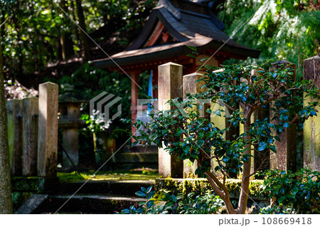 【奈良県】奈良市 弘仁寺 (2023/11/07 撮影) 【奈良県】奈良市 弘仁寺 (2023/11/07 撮影) 108669418