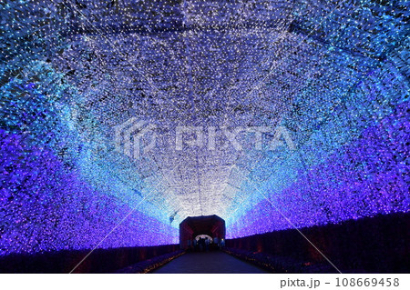 富士山に近い大規模な時之栖のイルミネーション(光のトンネル) 108669458
