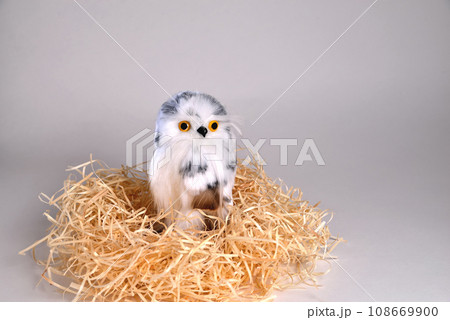 Toy eagle owl from a natural feather sits in a nest Toy eagle owl from a natural feather sits in a nest 108669900