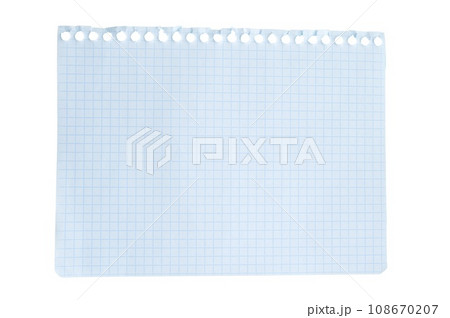 close up of a white ripped piece of ragged checkered paper with copyspace. torn paper isolated on white background 108670207