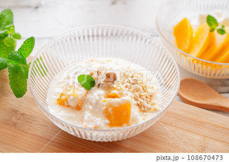 オートミールパパイヤヨーグルト 108670473