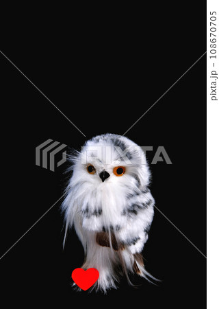 Toy owl on a black background, red paper heart, valentines day, close-up 108670705