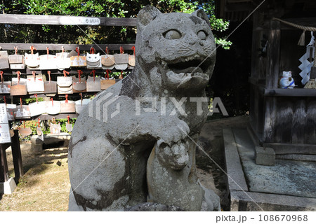 金比羅神社 狛猫 (木島社) 金比羅神社 狛猫 (木島社) 108670968