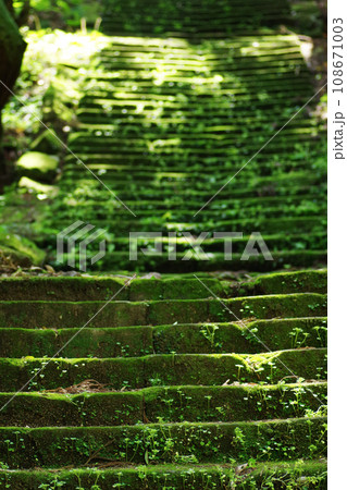 熊野古道 熊野古道 108671003