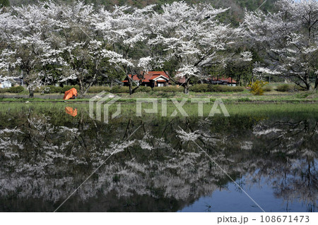 田植えを待つ山間の水田 108671473