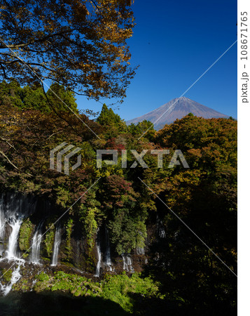 静岡_紅葉する白糸の滝と富士山の風景 静岡_紅葉する白糸の滝と富士山の風景 108671765