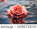 Beautiful pink rose on the water surface, close-up 108672610