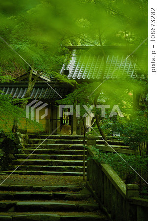 滋賀県　永源寺　 108673282