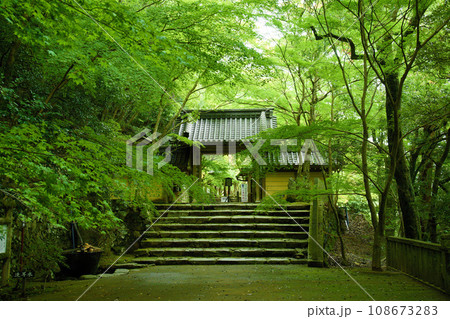 滋賀県　永源寺　 108673283