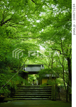 滋賀県 永源寺 滋賀県 永源寺 108673284