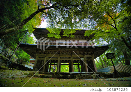 滋賀県 永源寺 滋賀県 永源寺 108673286