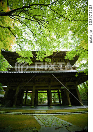 滋賀県　永源寺　 108673288