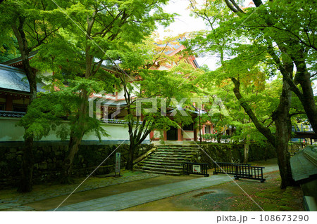 滋賀県　永源寺　 108673290