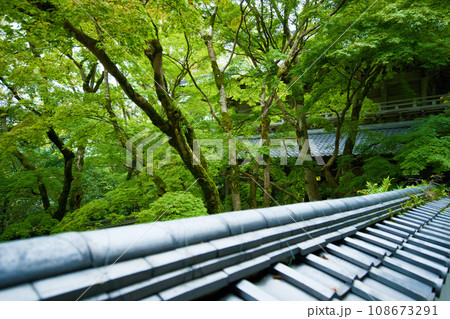 滋賀県 永源寺 滋賀県 永源寺 108673291