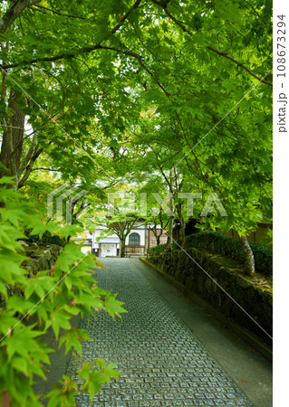 滋賀県　永源寺　 108673294