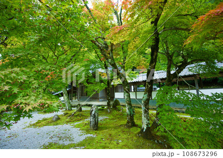 滋賀県 永源寺 滋賀県 永源寺 108673296