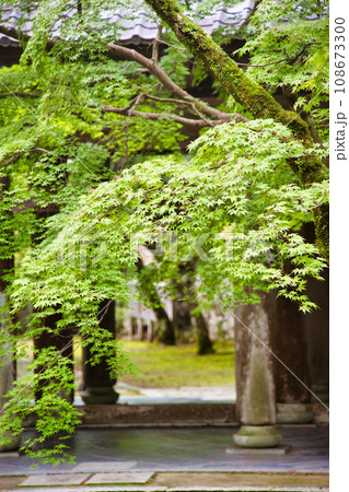 滋賀県 永源寺 滋賀県 永源寺 108673300